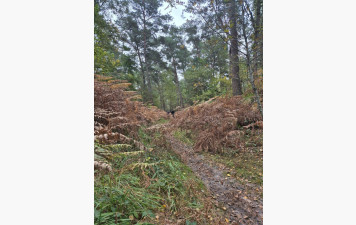 Sortie du dimanche 19 octobre 